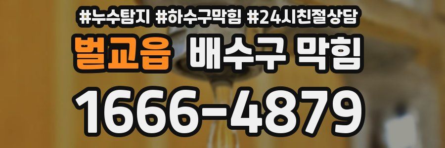벌교읍 배수구 막힘
