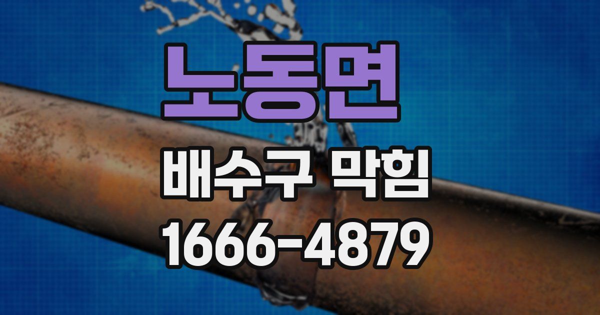 노동면 배수구 막힘