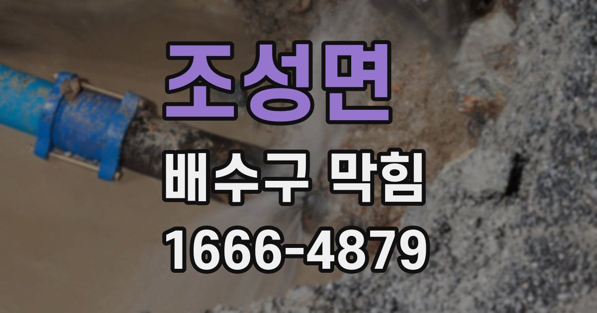 조성면 배수구 막힘
