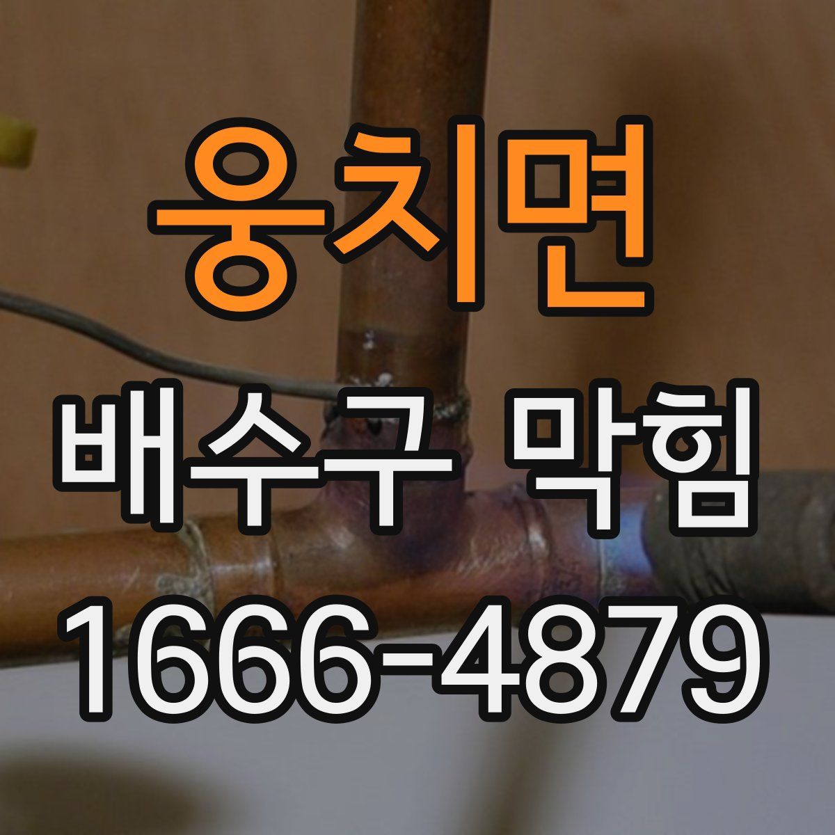 웅치면 배수구 막힘