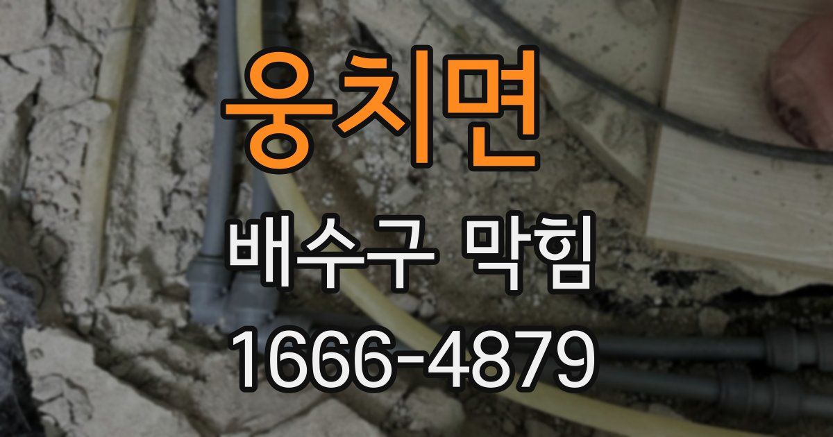 웅치면 배수구 막힘
