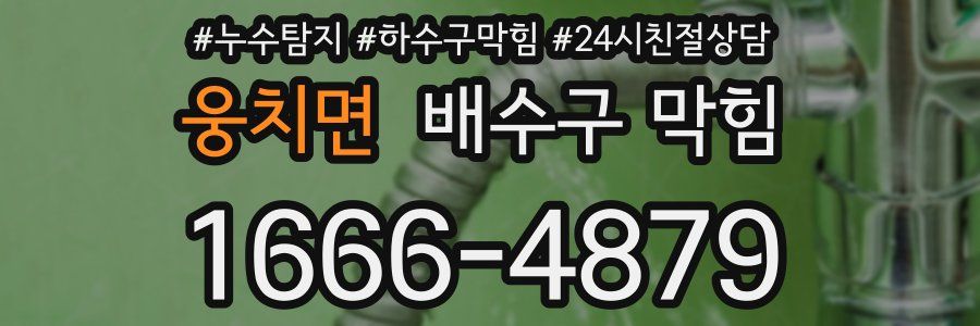 웅치면 배수구 막힘