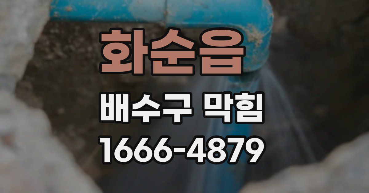 화순읍 배수구 막힘