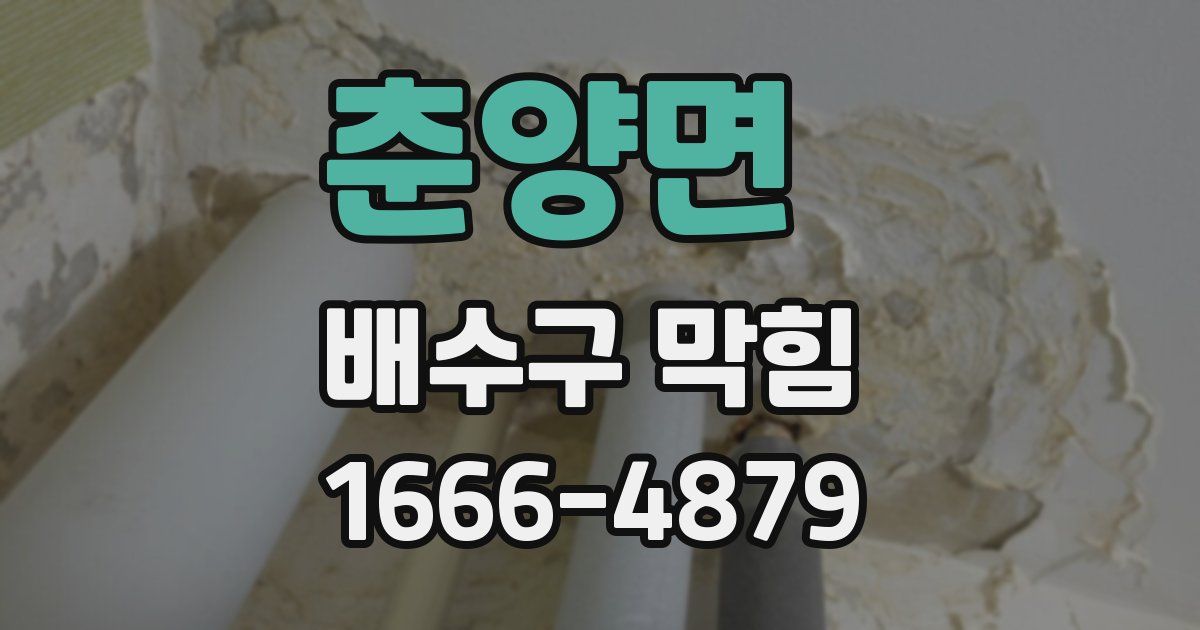춘양면 배수구 막힘