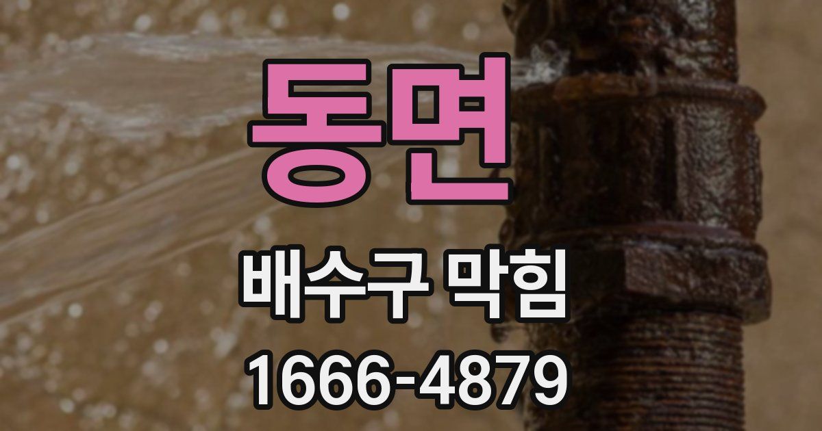 동면 배수구 막힘
