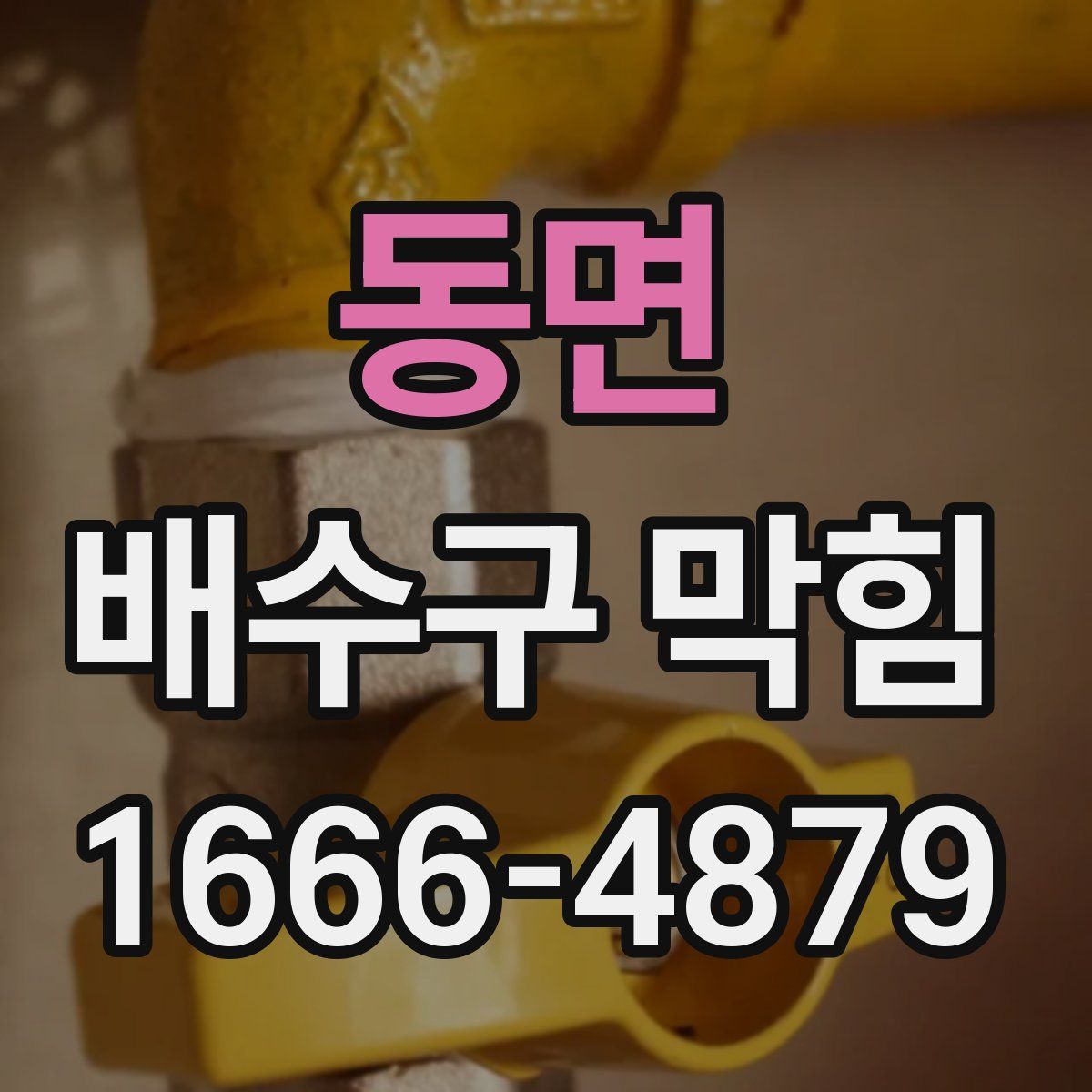 동면 배수구 막힘