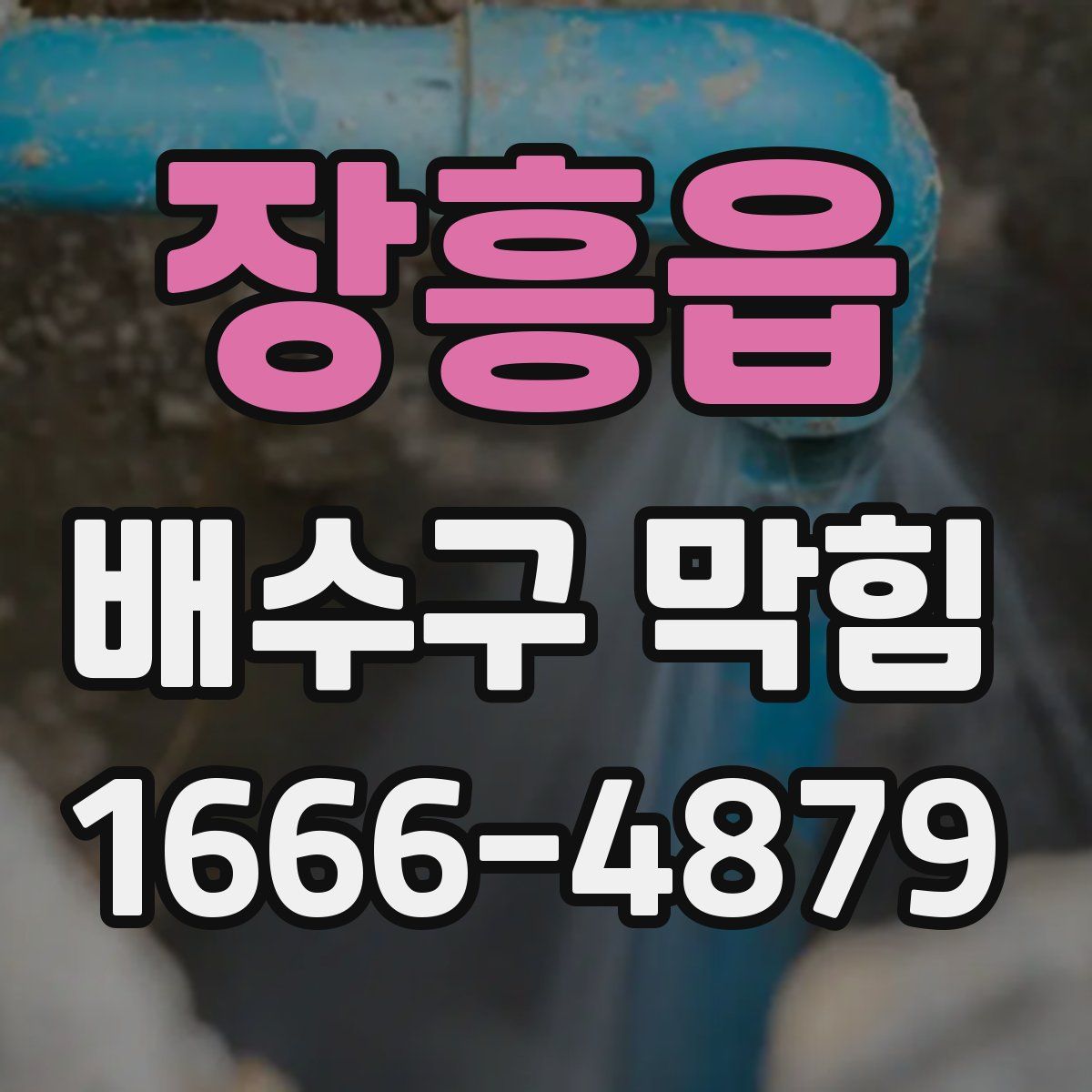 장흥읍 배수구 막힘