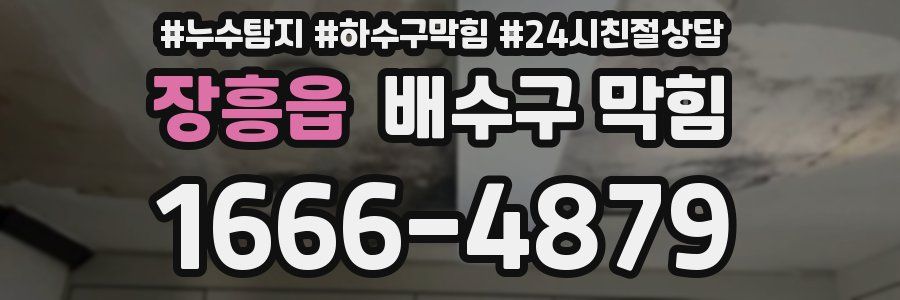 장흥읍 배수구 막힘