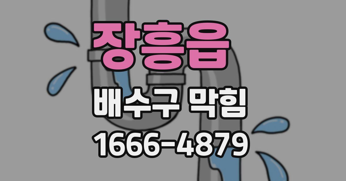 장흥읍 배수구 막힘