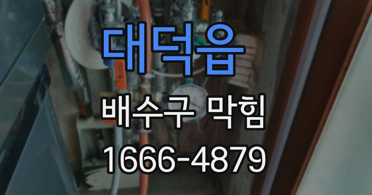 대덕읍 배수구 막힘