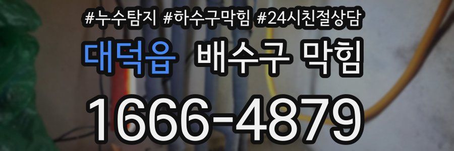대덕읍 배수구 막힘