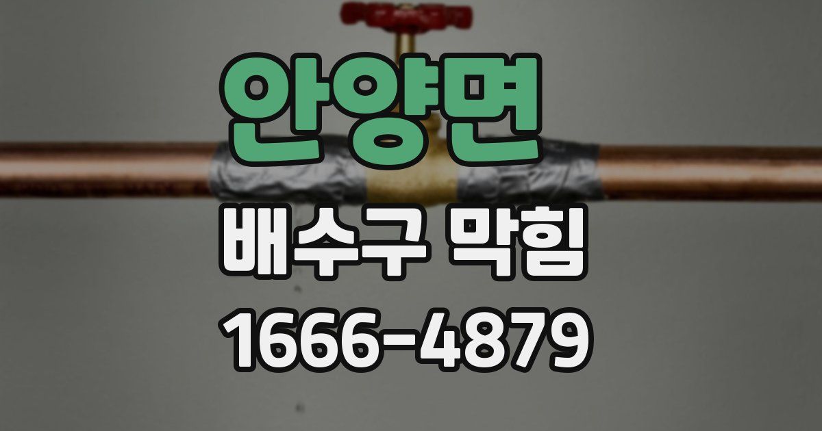 안양면 배수구 막힘