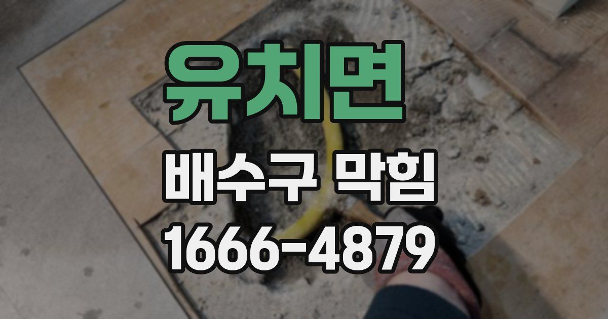 유치면 배수구 막힘