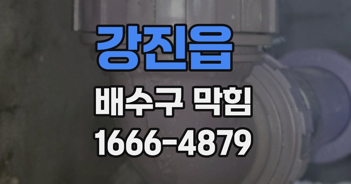 강진읍 배수구 막힘