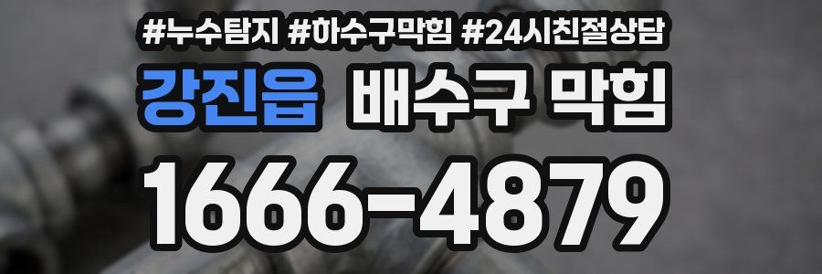 강진읍 배수구 막힘