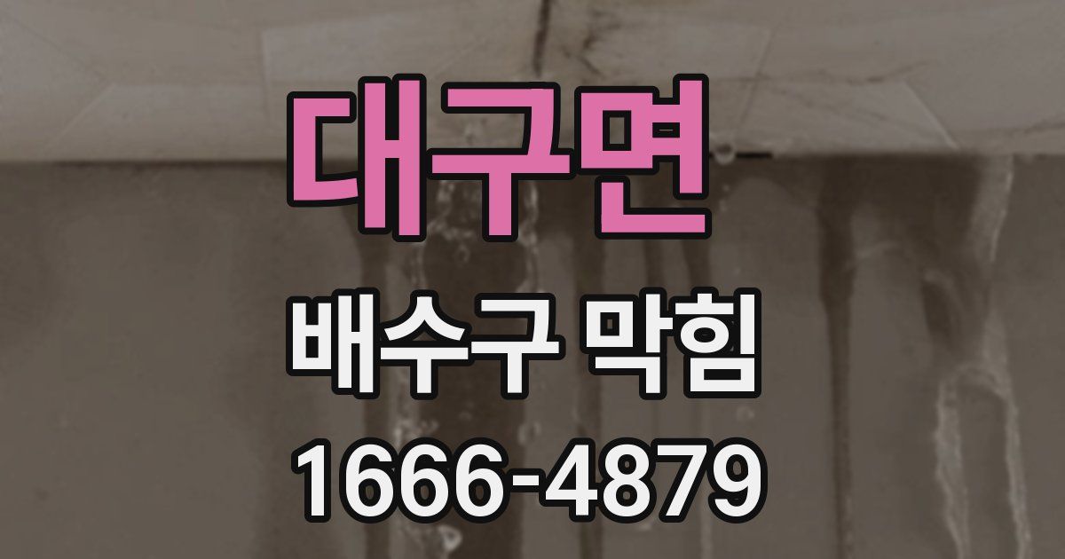 대구면 배수구 막힘