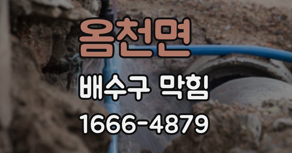 옴천면 배수구 막힘