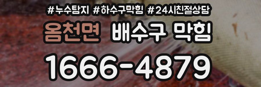 옴천면 배수구 막힘