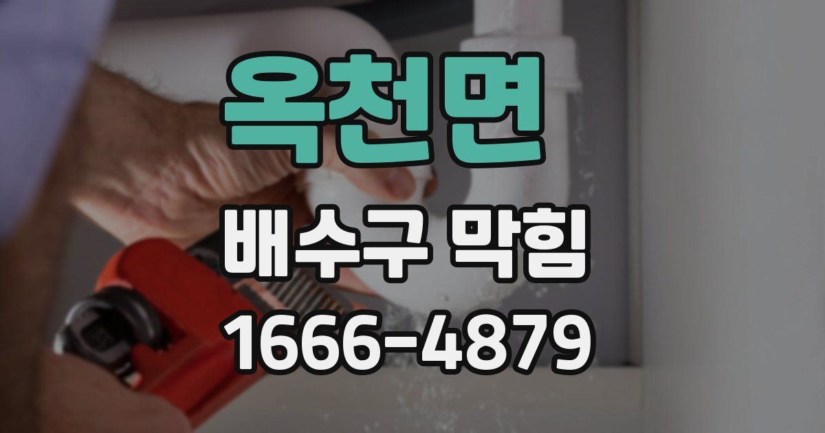 옥천면 배수구 막힘