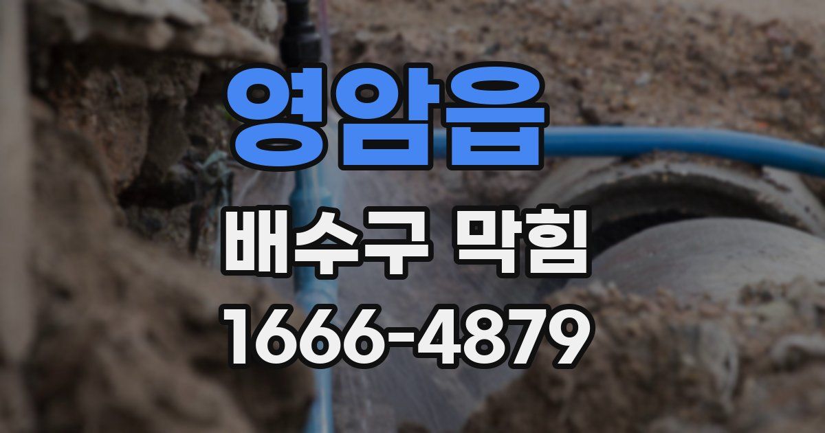 영암읍 배수구 막힘