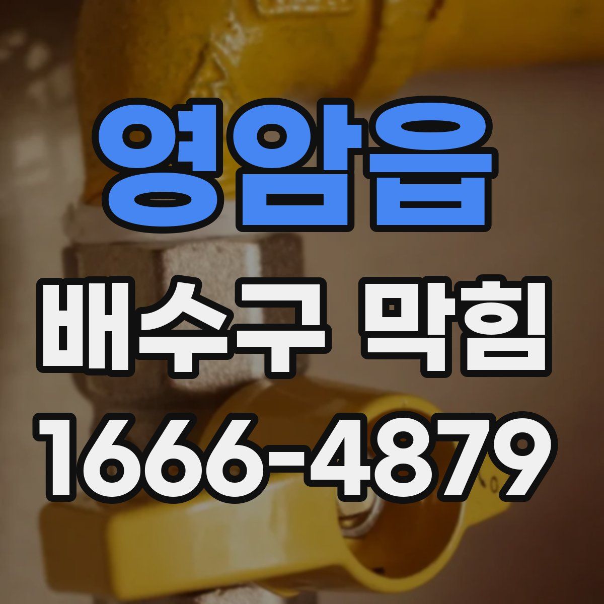 영암읍 배수구 막힘