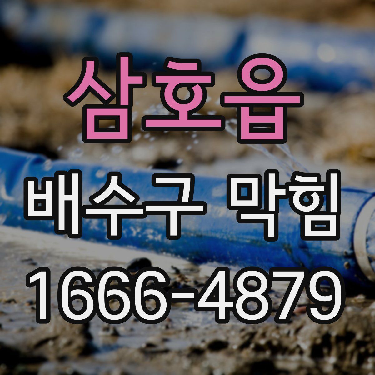 삼호읍 배수구 막힘