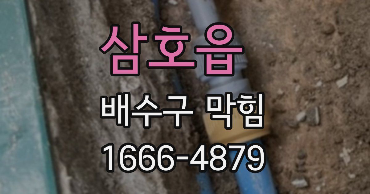 삼호읍 배수구 막힘
