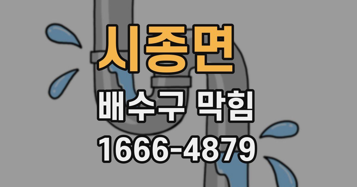 시종면 배수구 막힘