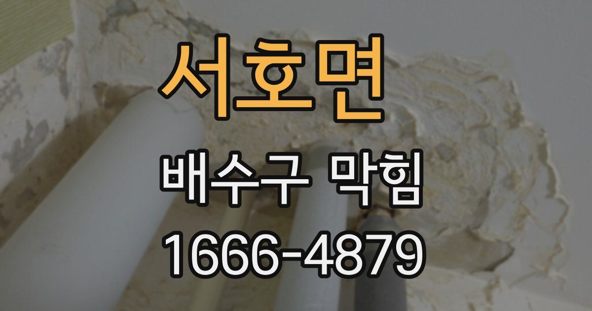서호면 배수구 막힘