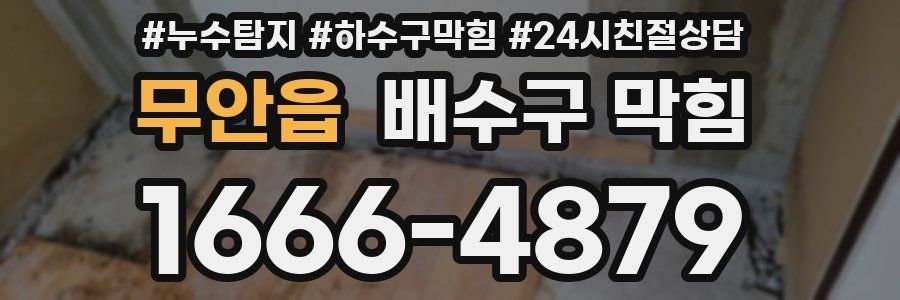 무안읍 배수구 막힘