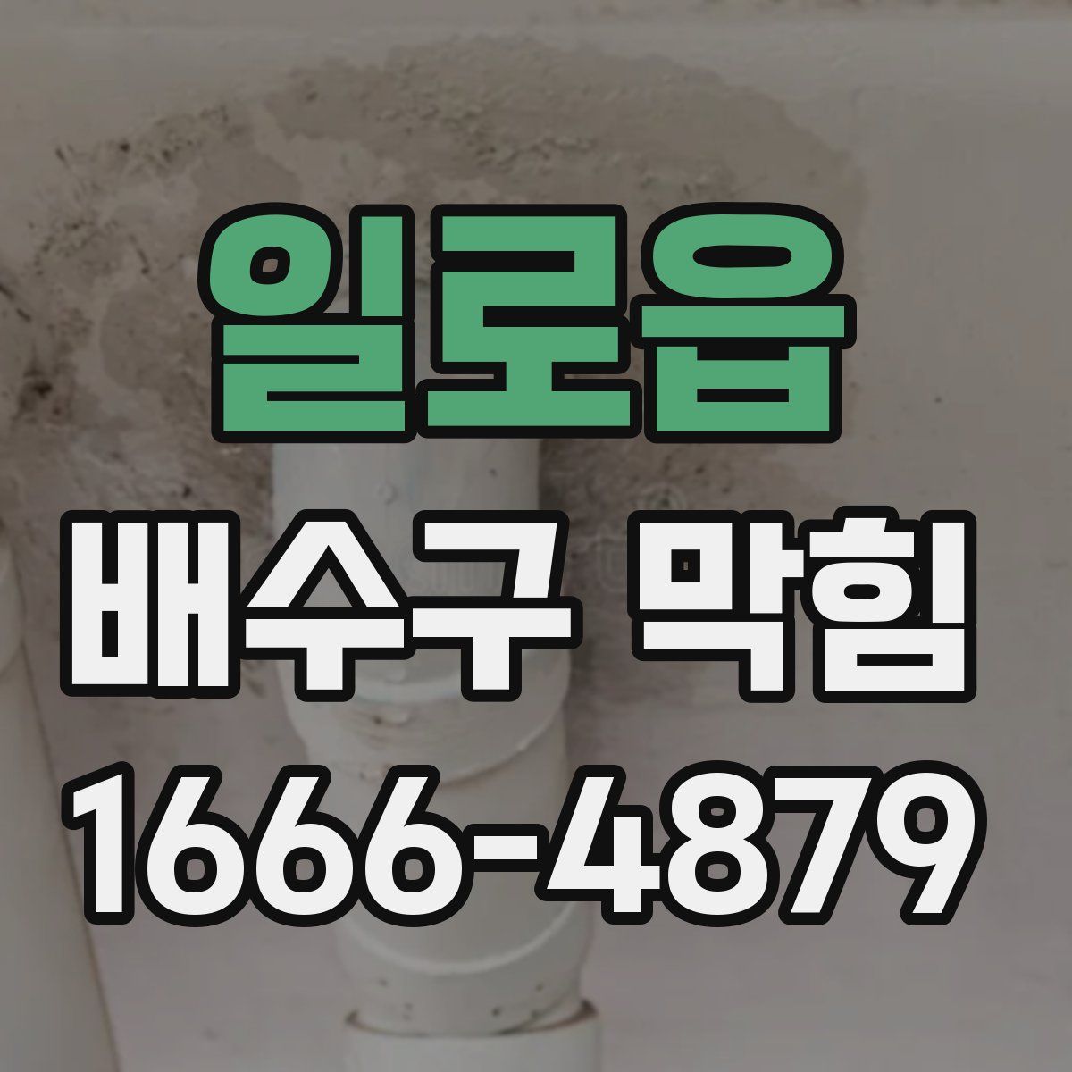 일로읍 배수구 막힘