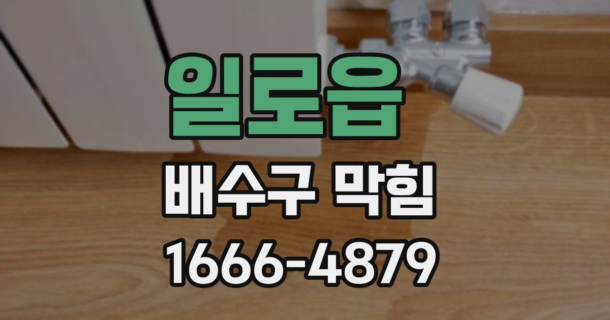 일로읍 배수구 막힘