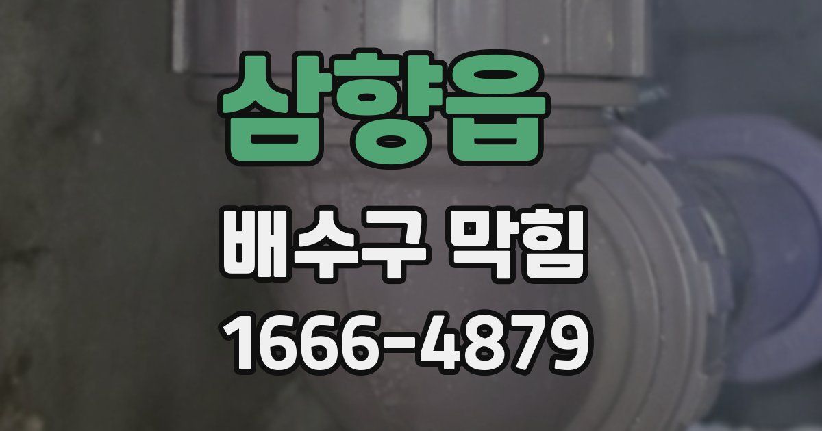 삼향읍 배수구 막힘