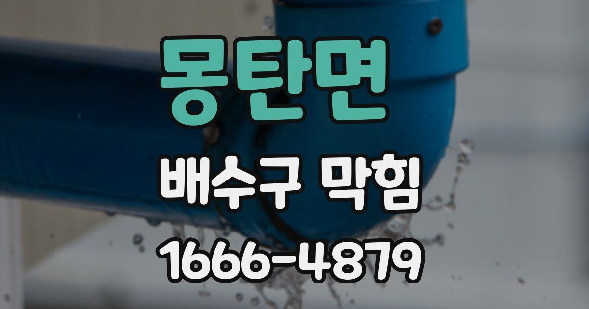 몽탄면 배수구 막힘
