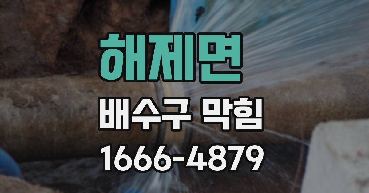 해제면 배수구 막힘