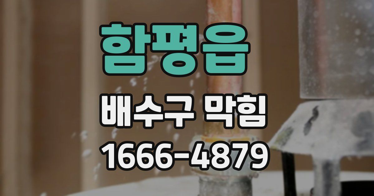 함평읍 배수구 막힘