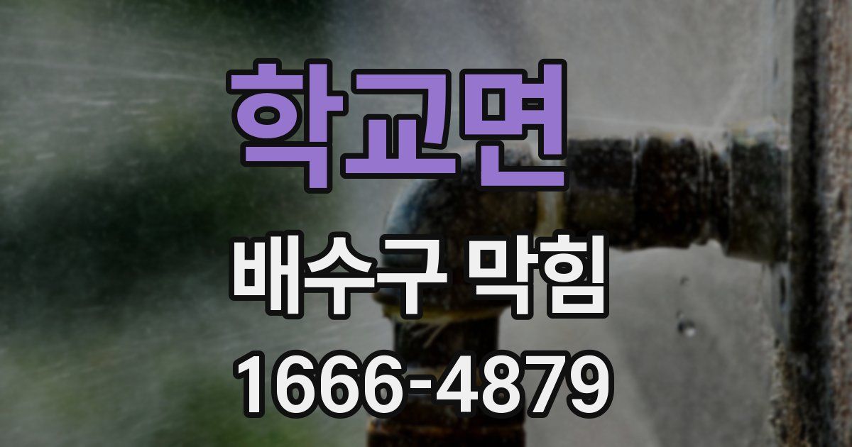 학교면 배수구 막힘
