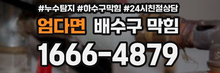 엄다면 배수구 막힘