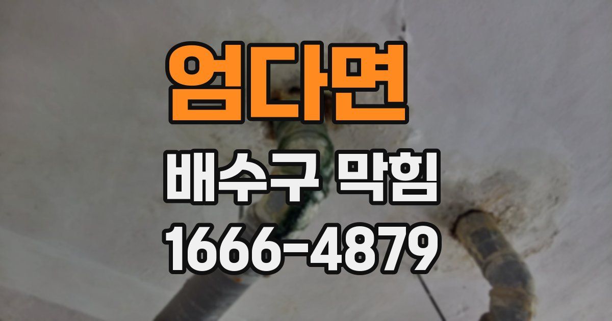 엄다면 배수구 막힘