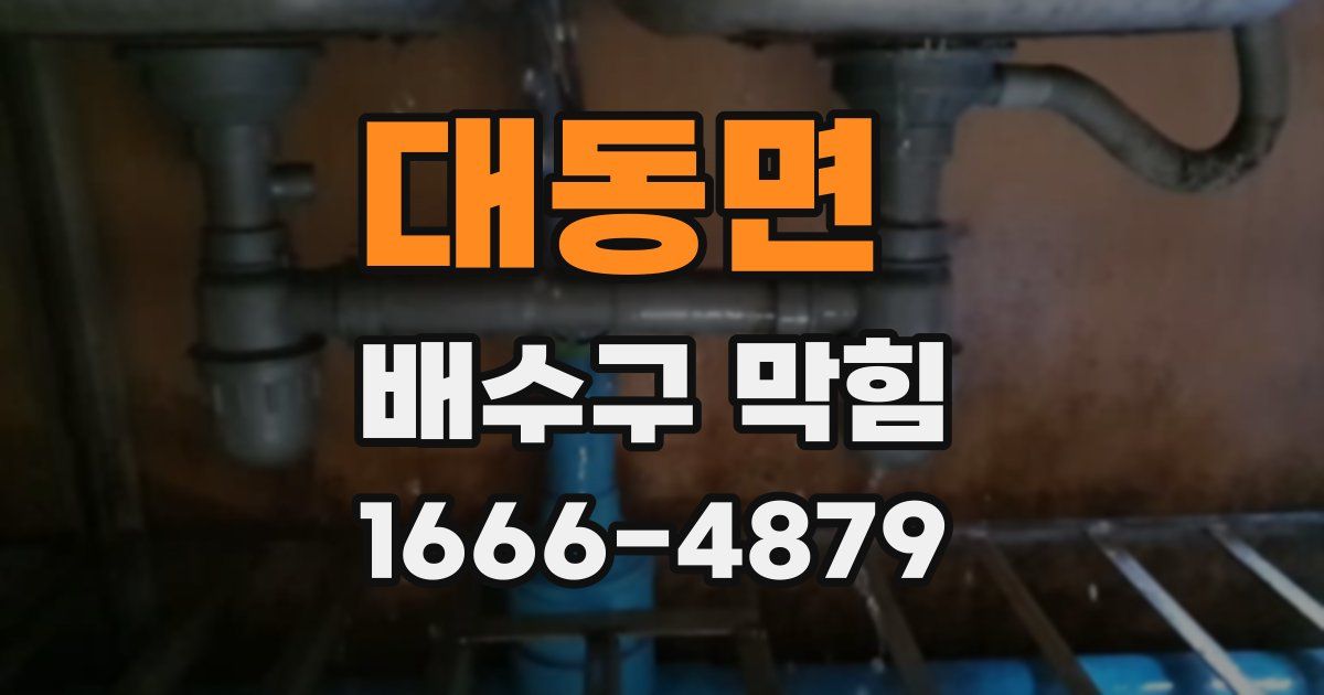 대동면 배수구 막힘