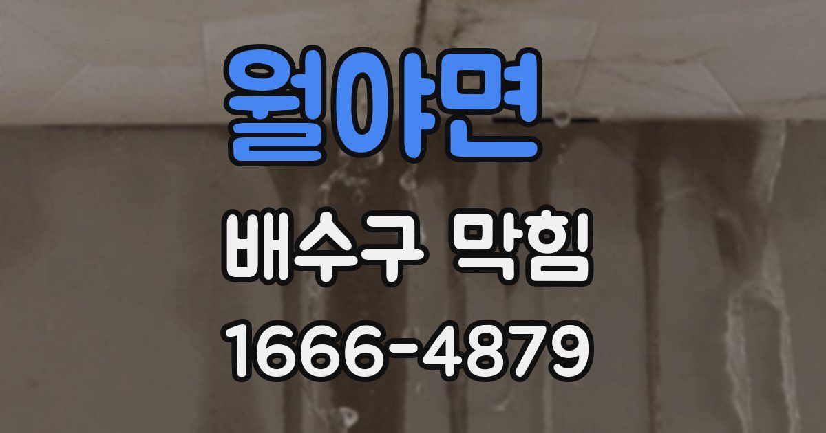월야면 배수구 막힘