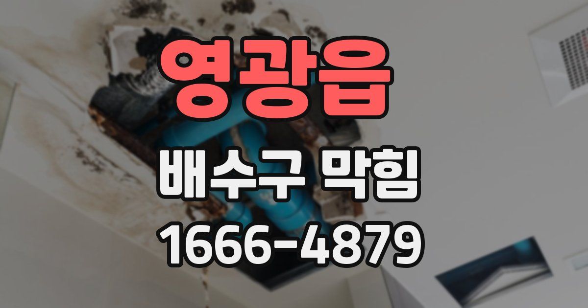 영광읍 배수구 막힘