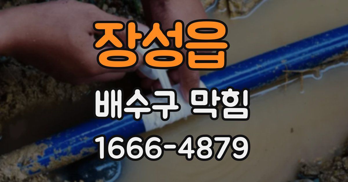 장성읍 배수구 막힘