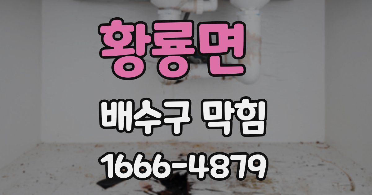 황룡면 배수구 막힘