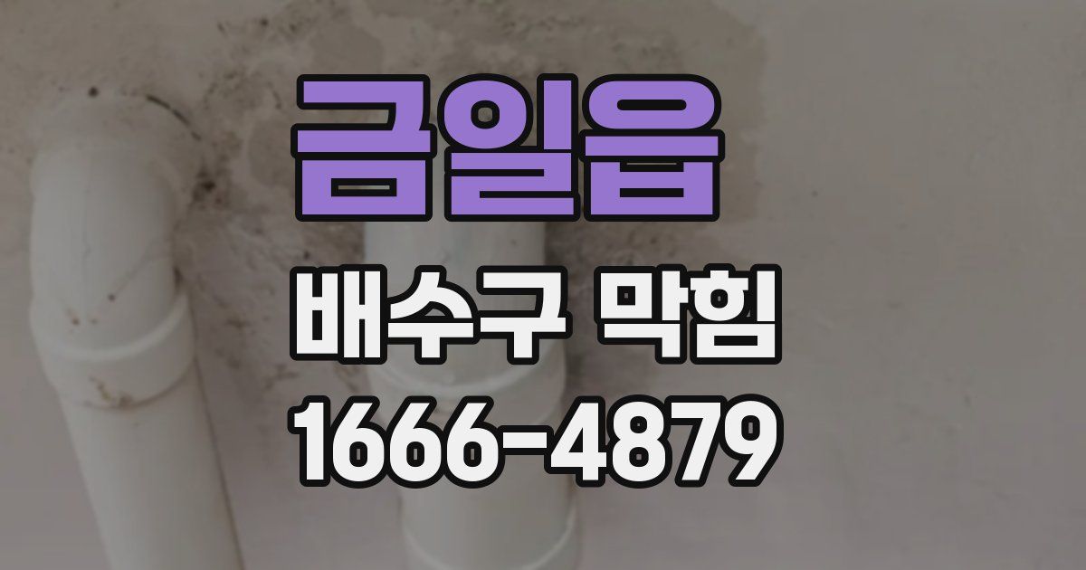 금일읍 배수구 막힘