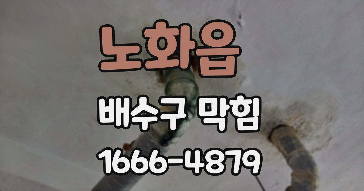 노화읍 배수구 막힘