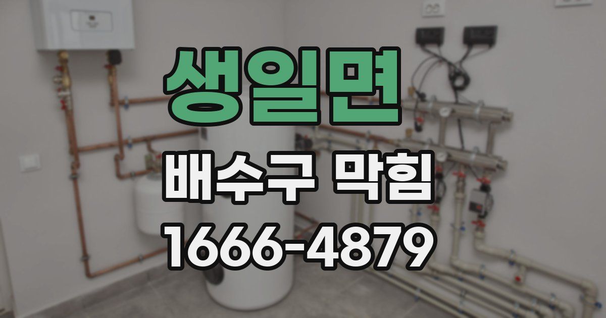 생일면 배수구 막힘