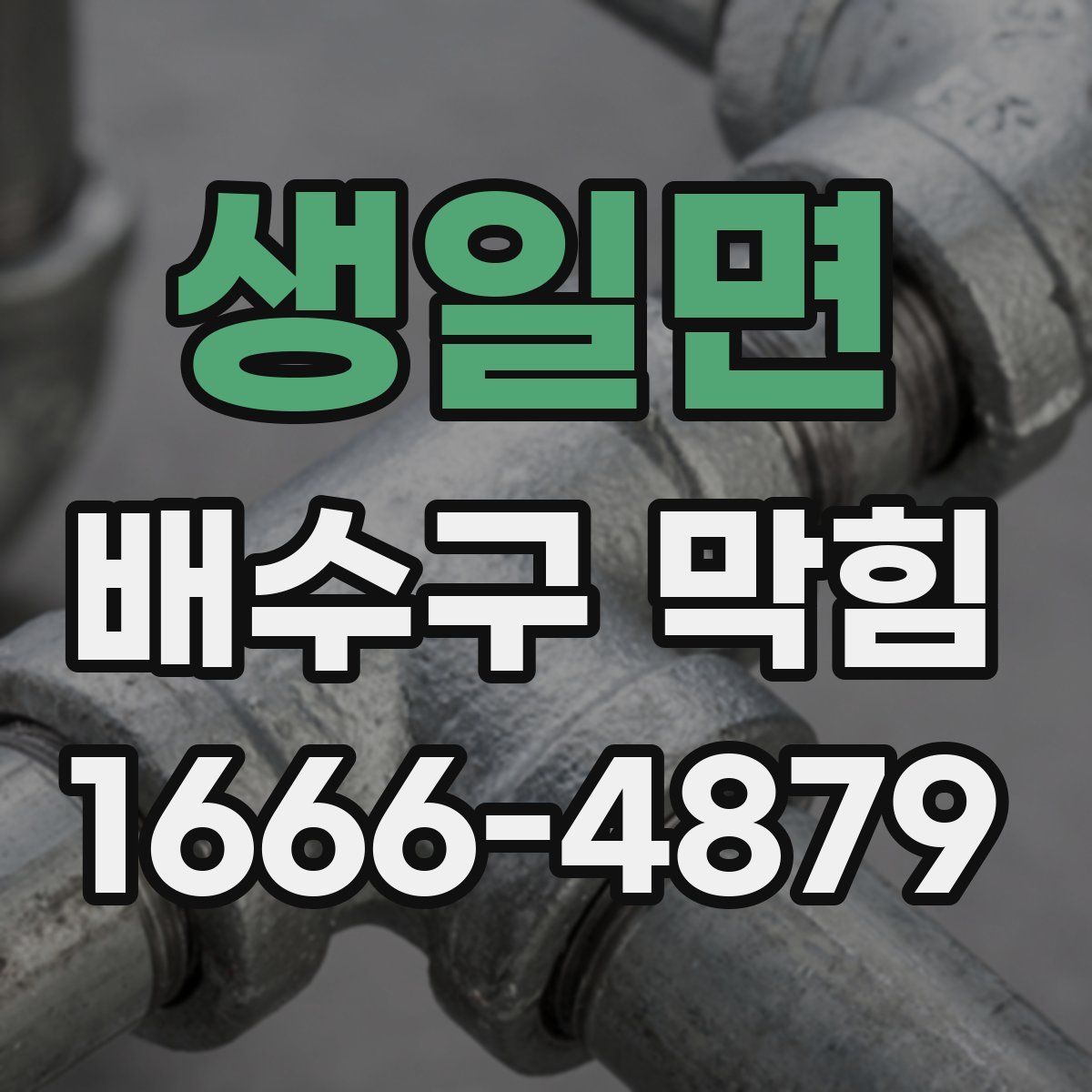 생일면 배수구 막힘