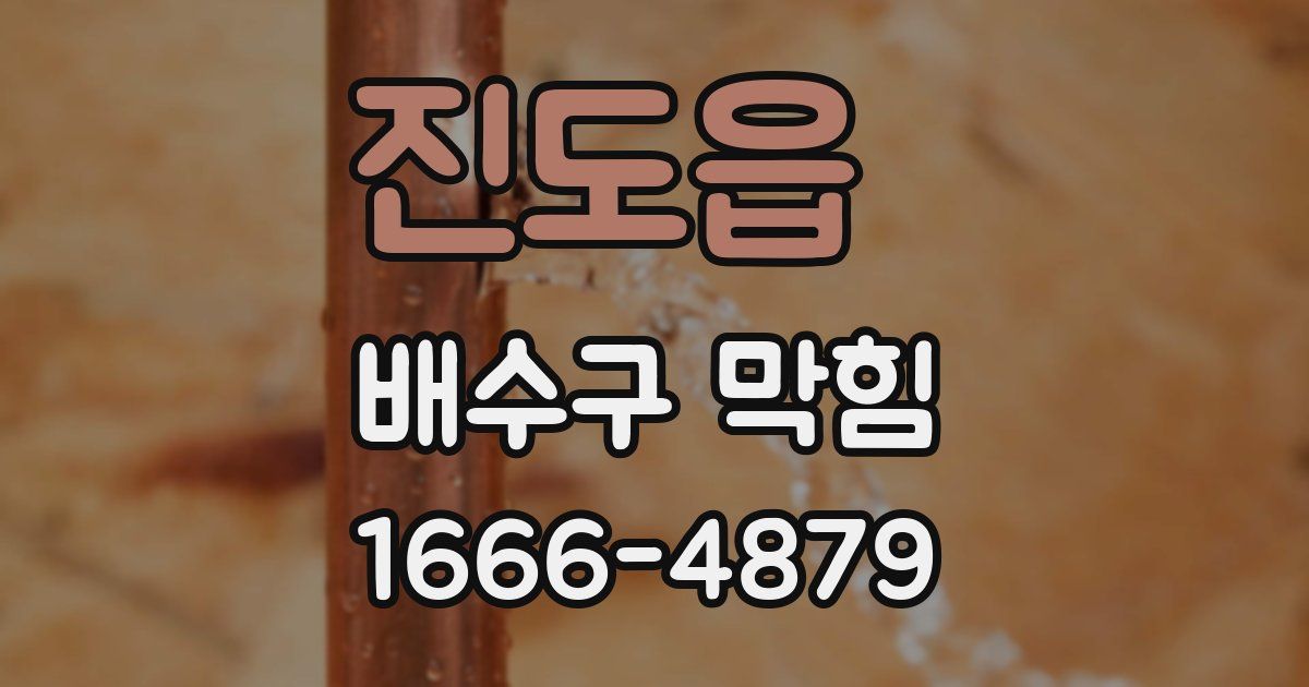 진도읍 배수구 막힘