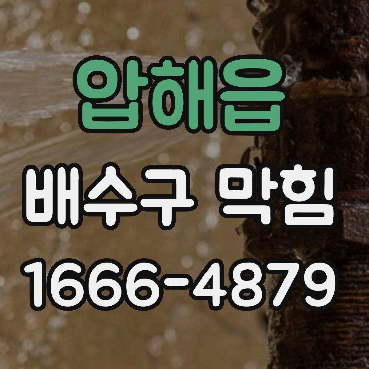 압해읍 배수구 막힘